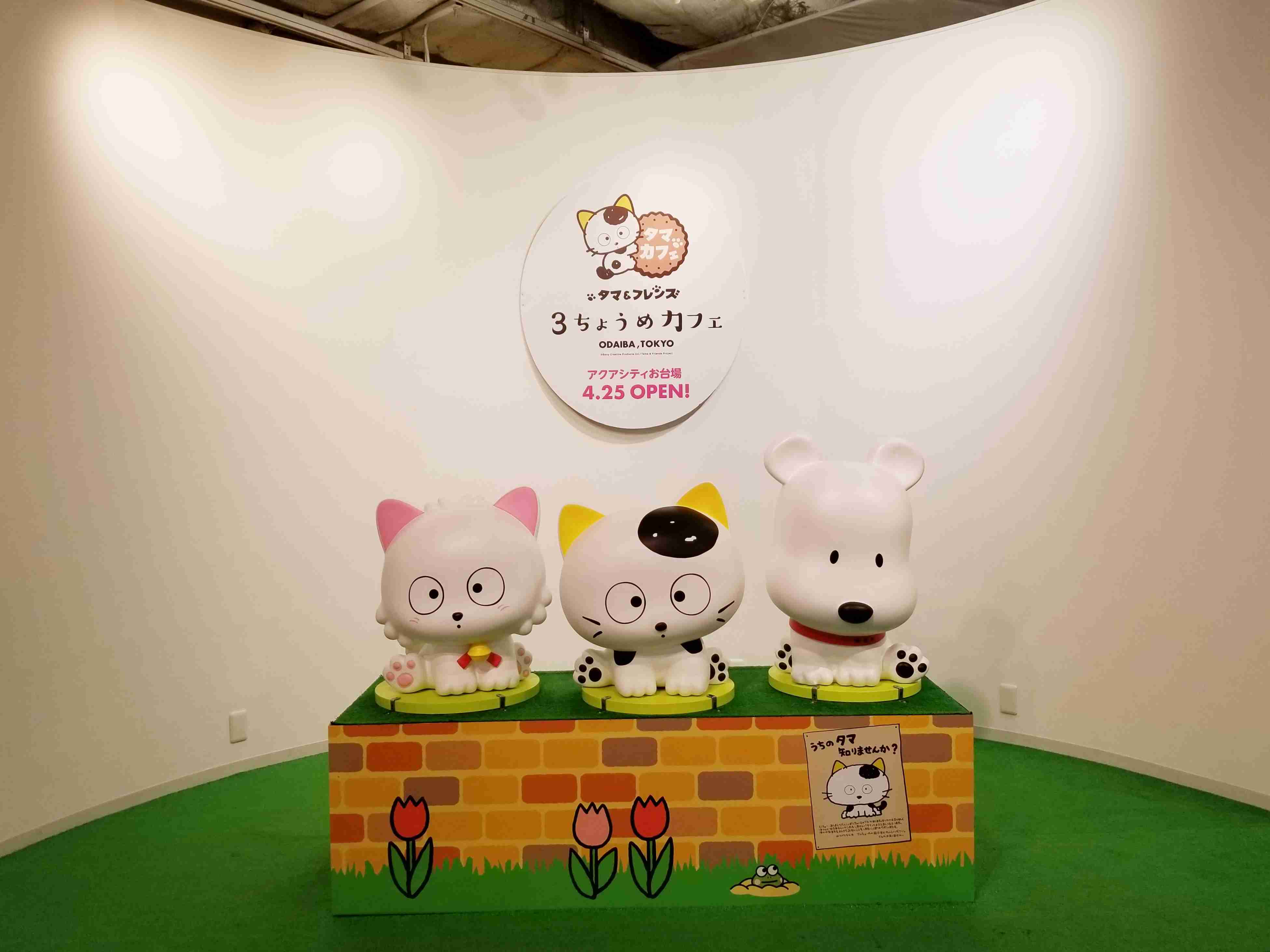 うちのタマ知りませんか？：擬人化アニメのビジュアル公開　タマやポチの“獣耳”キャラが大集合