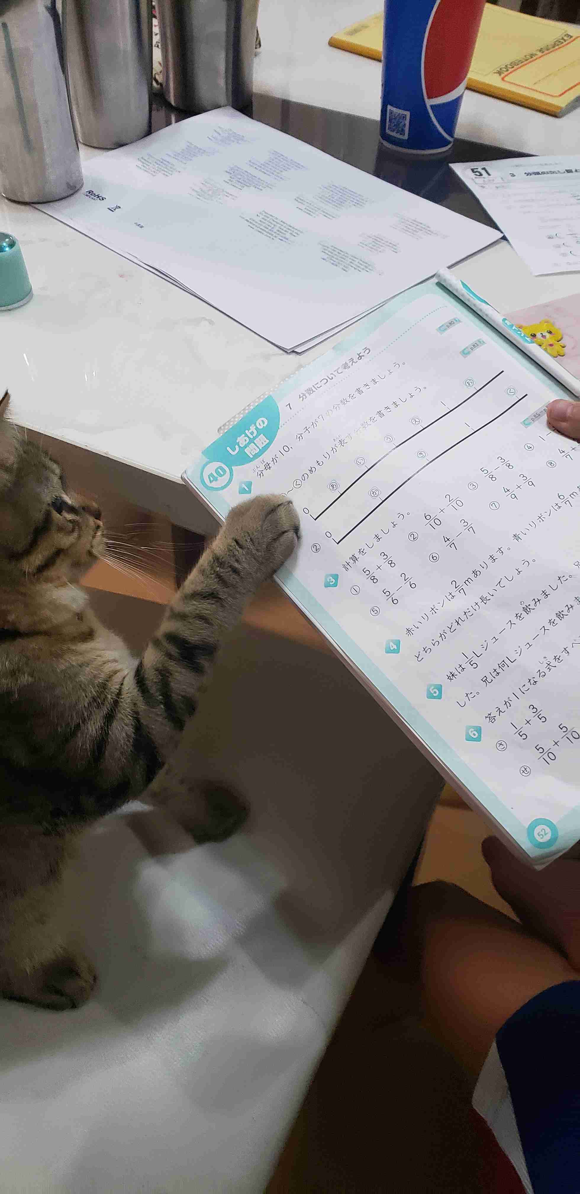 ねこ時々うさぎの写真を貼るトピ