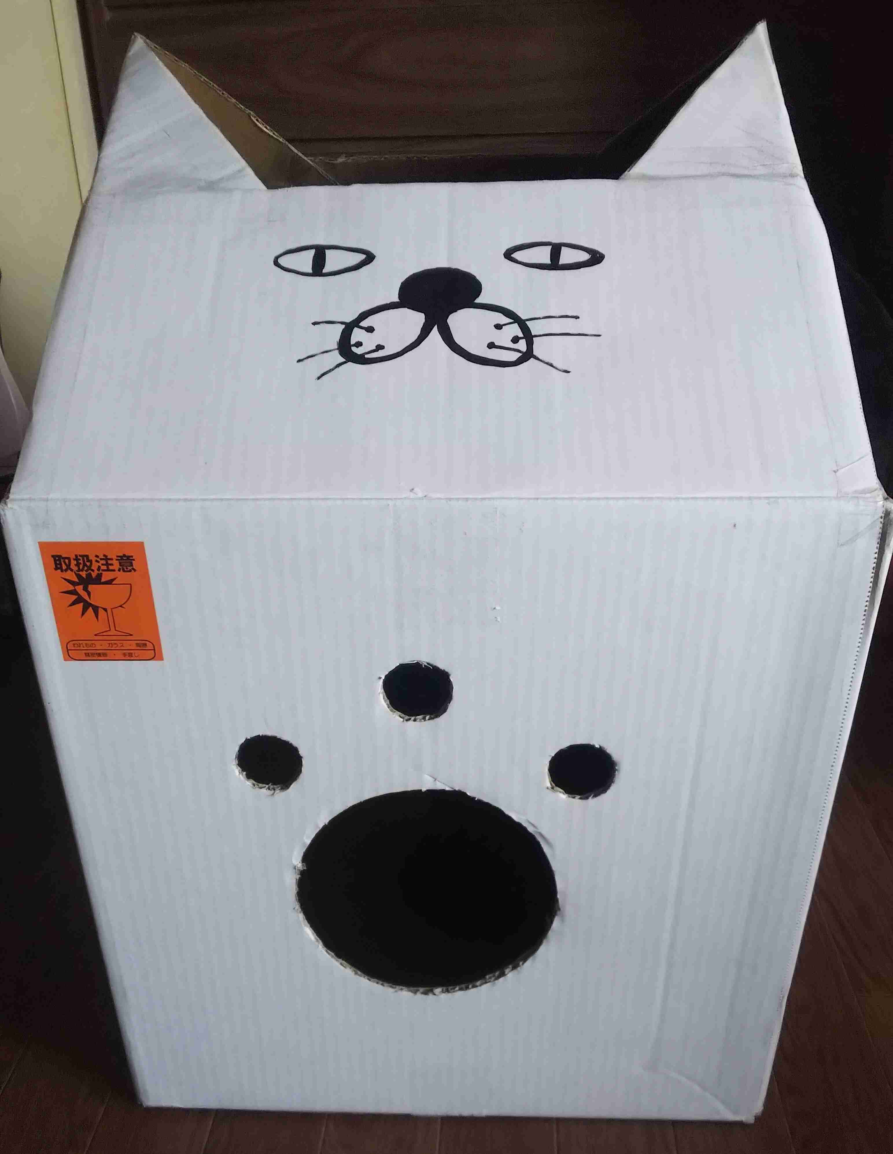 ねこ時々うさぎの写真を貼るトピ