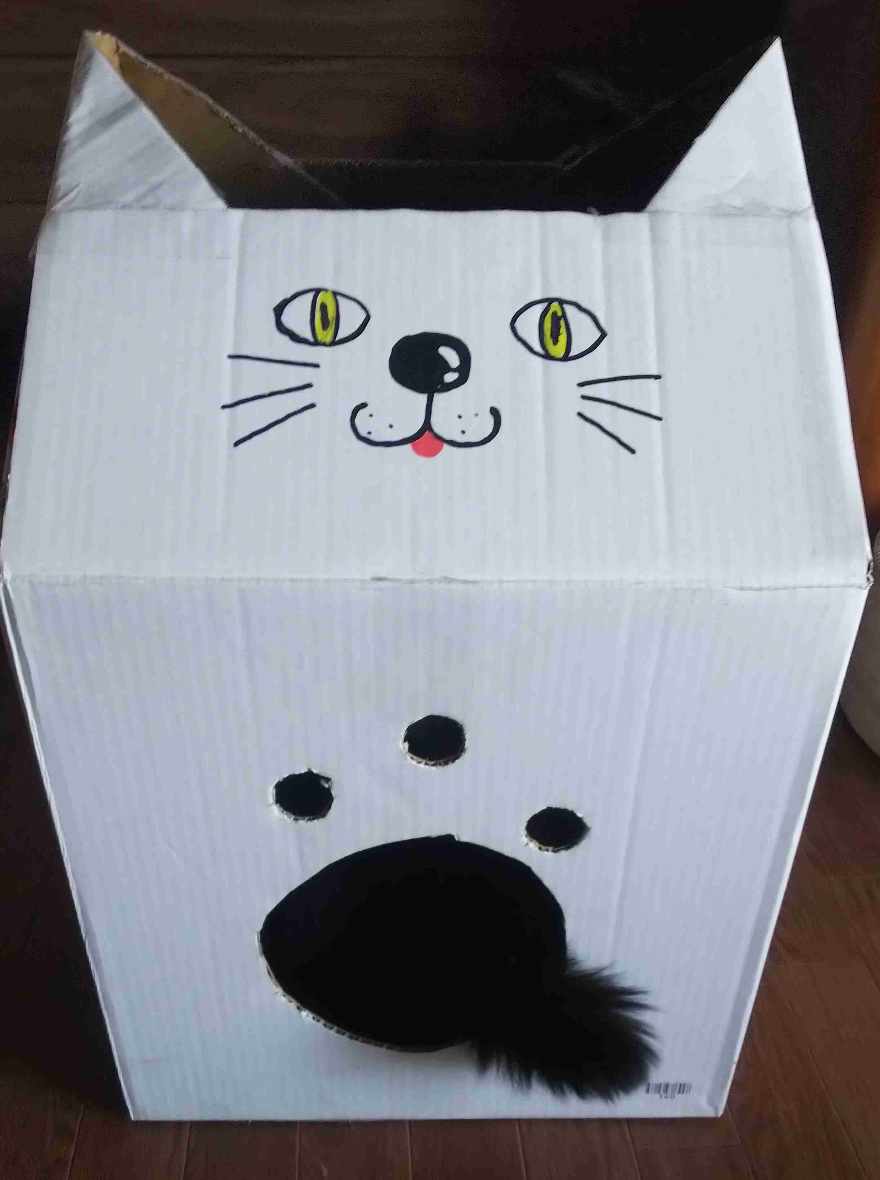 ねこ時々うさぎの写真を貼るトピ