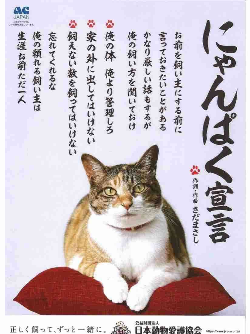 ねこ時々うさぎの写真を貼るトピ