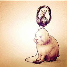 ねこ時々うさぎの写真を貼るトピ