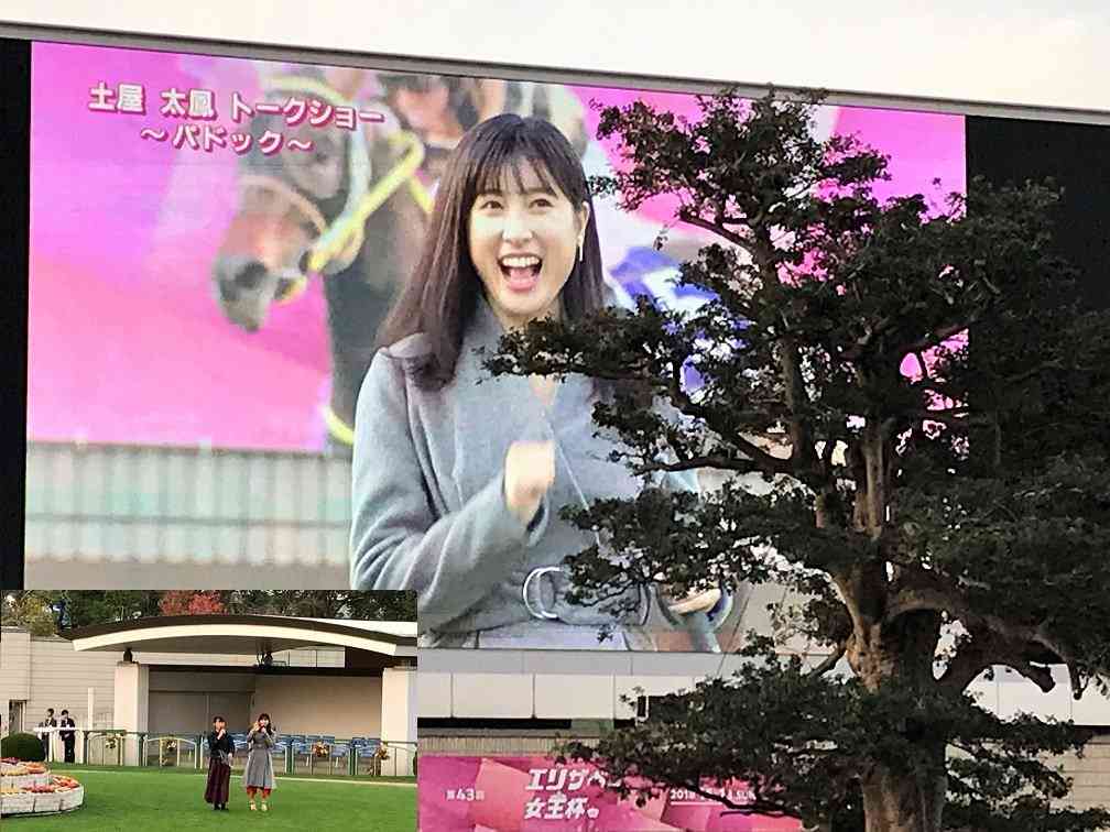 生まれ変わったらなりたい顔！