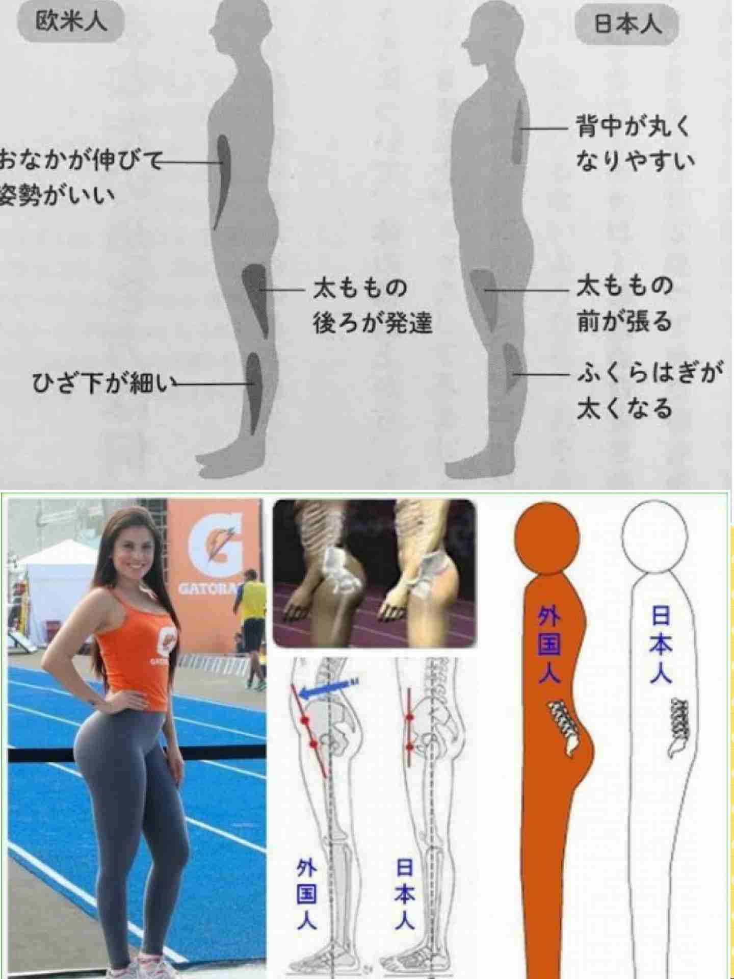 ダイエット 画像 細い人を見てモチベーションを上げよう ガールズちゃんねる Girls Channel