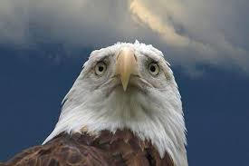 山口真帆「色んな意見があると思う」女優業への意気込み語る