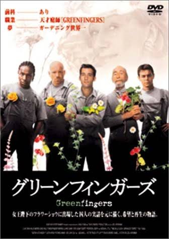 「こんな映画が見たい」と書くと、親切な誰かが教えてくれるトピ