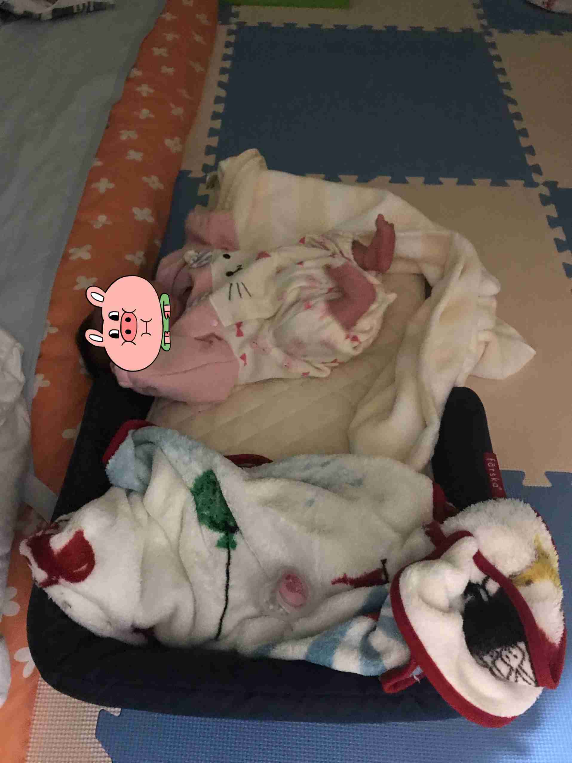 19歳母親「子供がうつぶせになって冷たい…」生後1カ月の男の子がアパートで死亡
