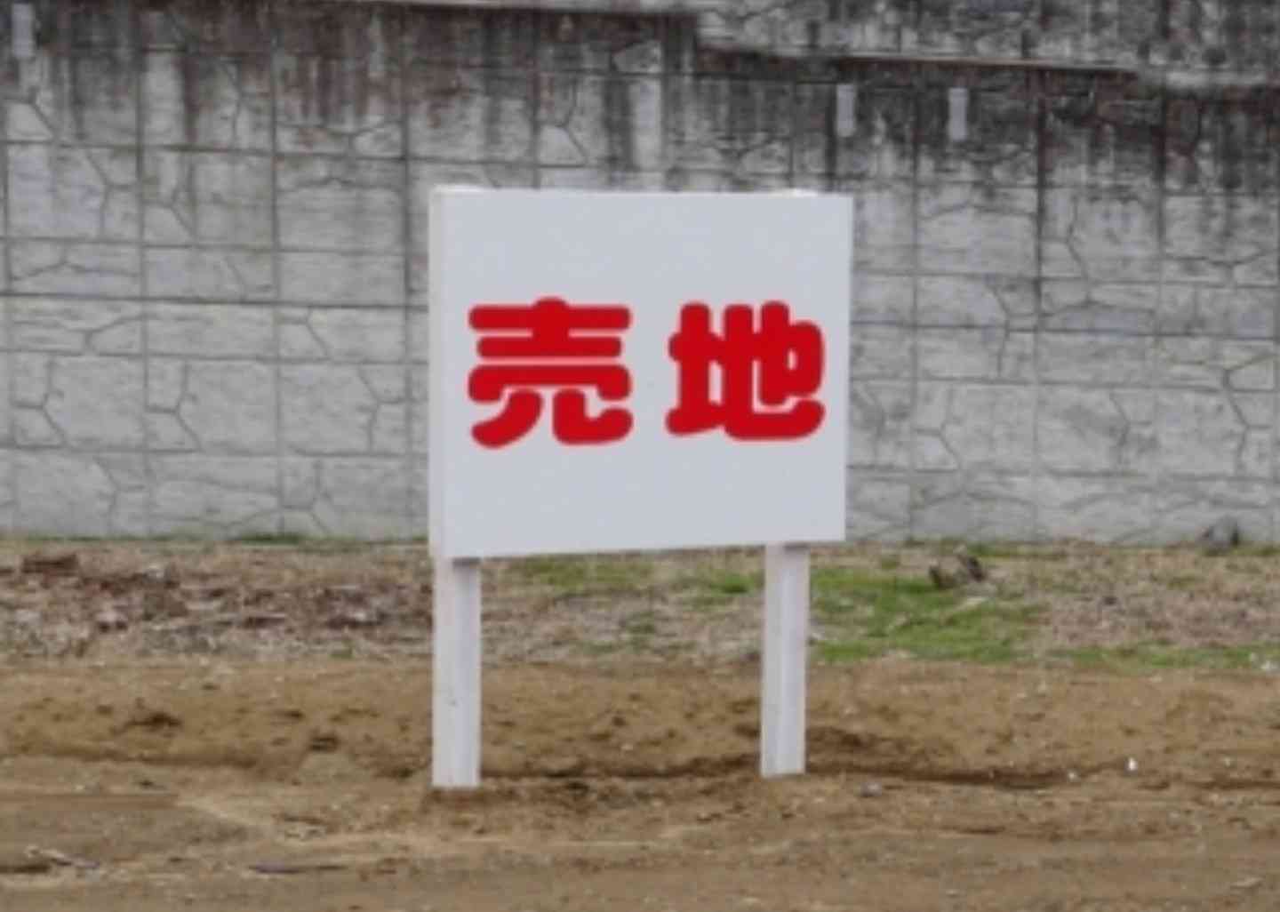 相続放棄後の空き家や土地はどうなりましたか