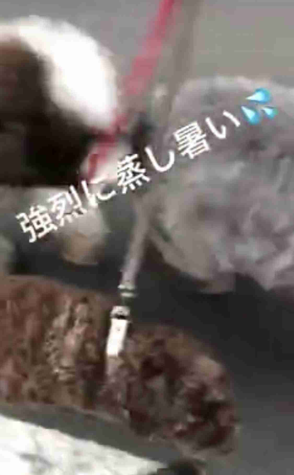 工藤静香、二科展の告知投稿にファン騒然　「しーちゃんの髪が…」