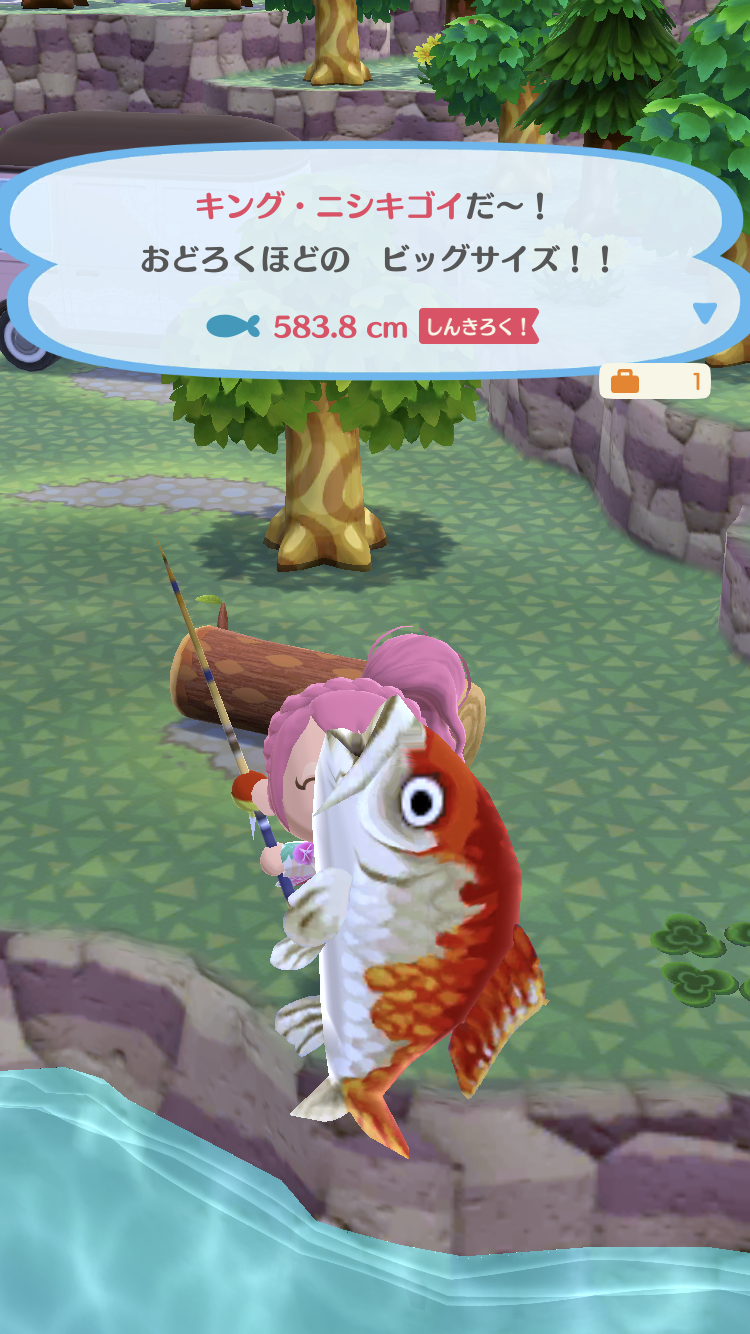 【ポケ森】キャンプ場の画像を貼ろう！part3