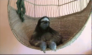 ぐにゃぐにゃな動物たち