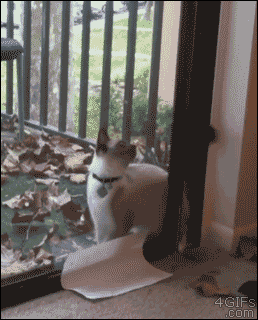 ぐにゃぐにゃな動物たち