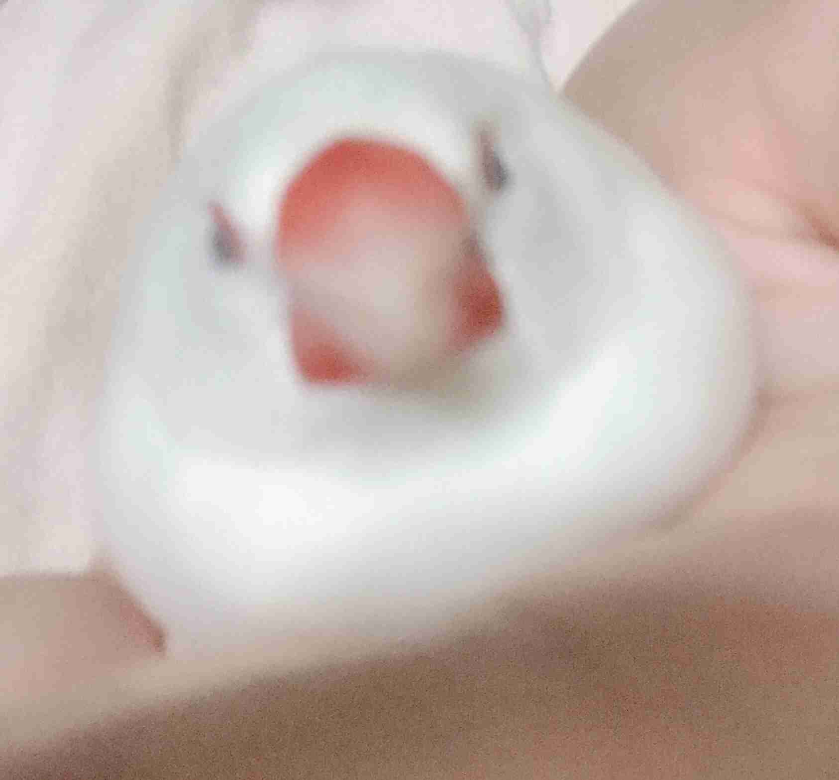 ぐにゃぐにゃな動物たち