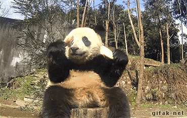 ぐにゃぐにゃな動物たち
