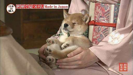 ガルちゃんワンコカフェpart5