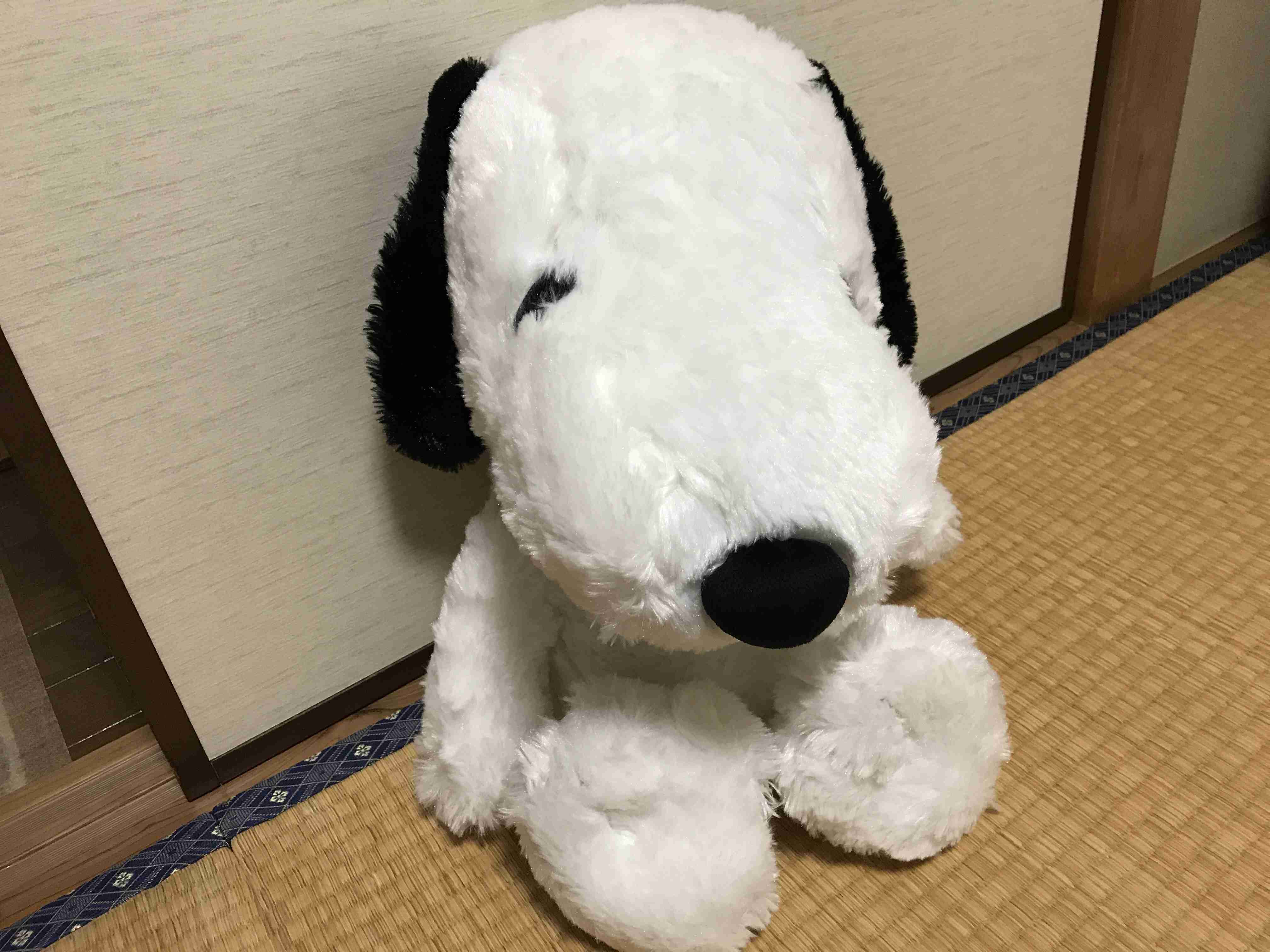 ガルちゃんワンコカフェpart5