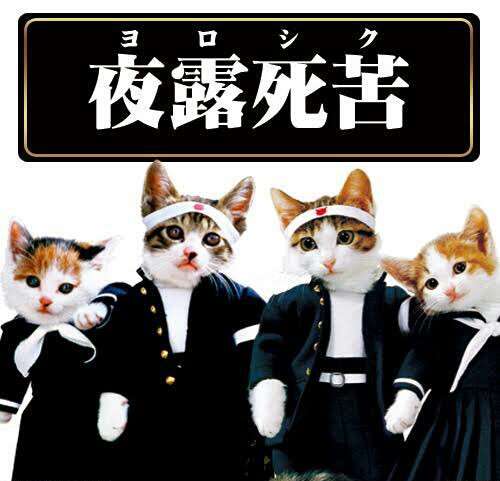使い道がない画像を供養するトピ