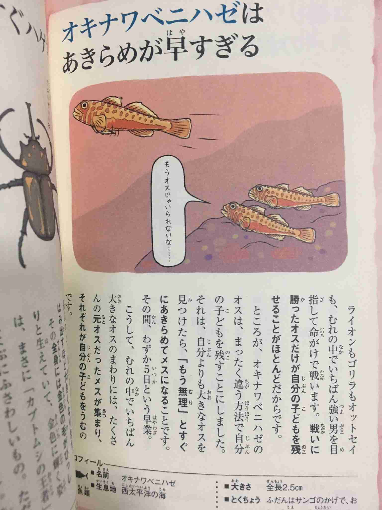 使い道がない画像を供養するトピ