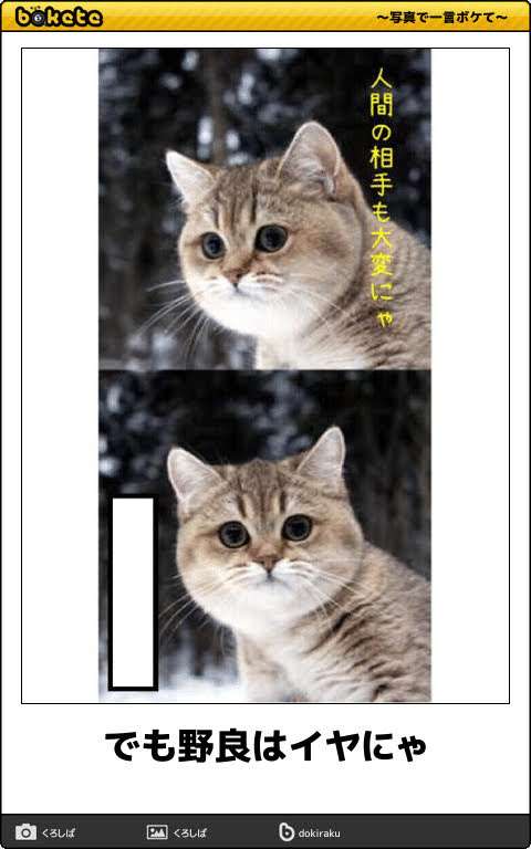 使い道がない画像を供養するトピ