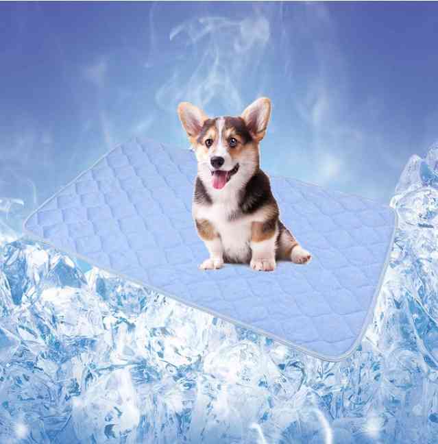 使い道がない画像を供養するトピ