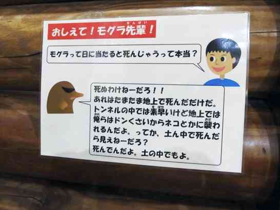 使い道がない画像を供養するトピ