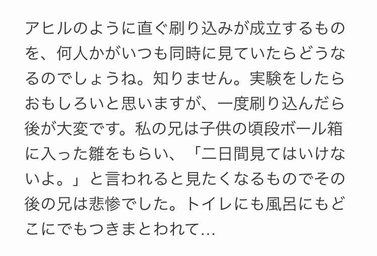 鳥カフェ(⊙ө⊙)倶楽部part6