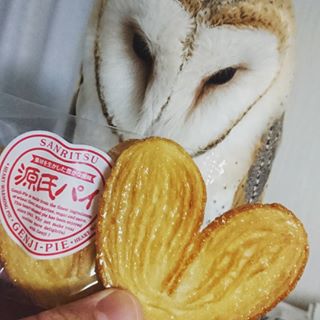 鳥カフェ(⊙ө⊙)倶楽部part6