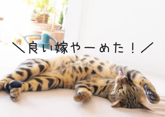いい嫁キャンペーン終了。その後