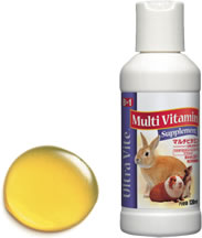 【癒し】モルモットを語りたい！！