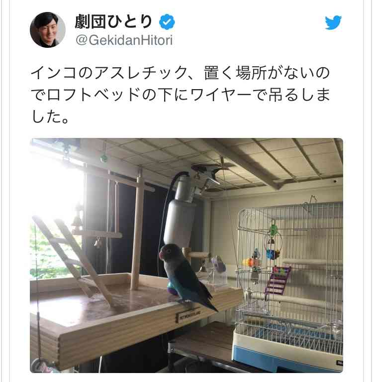 芸能人の飼ってるペット達集合!!