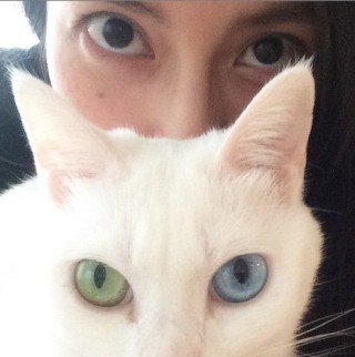 芸能人の飼ってるペット達集合!!