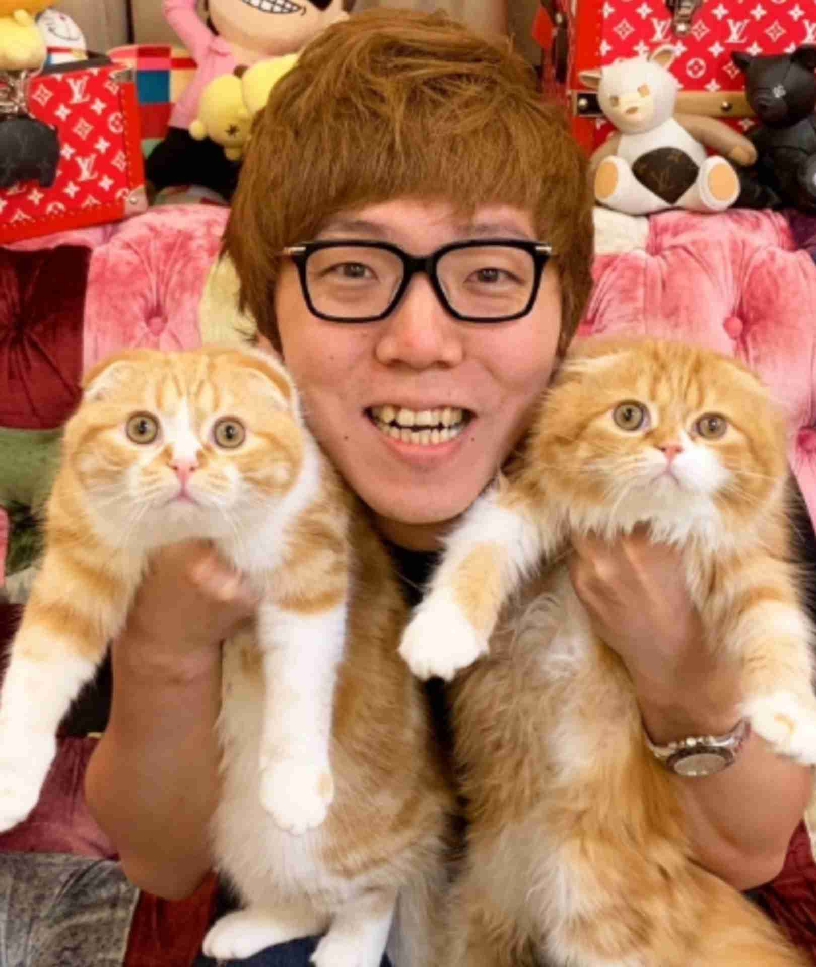 芸能人の飼ってるペット達集合!!