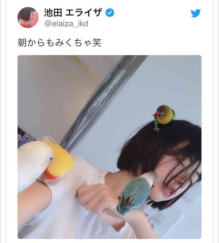 芸能人の飼ってるペット達集合!!
