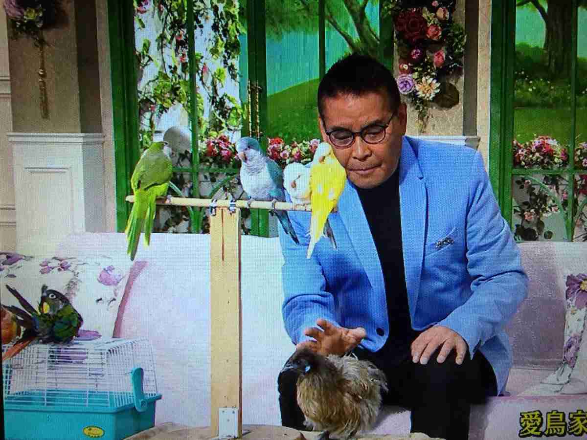 芸能人の飼ってるペット達集合!!
