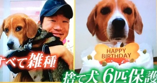 芸能人の飼ってるペット達集合!!