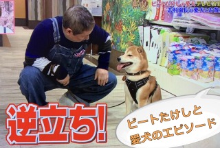 芸能人の飼ってるペット達集合!!