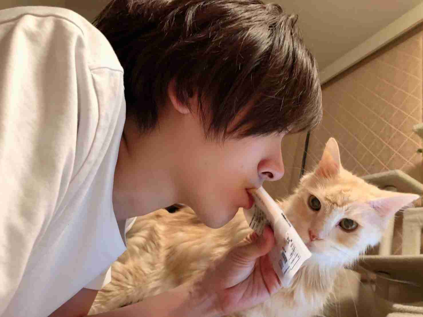 芸能人の飼ってるペット達集合!!