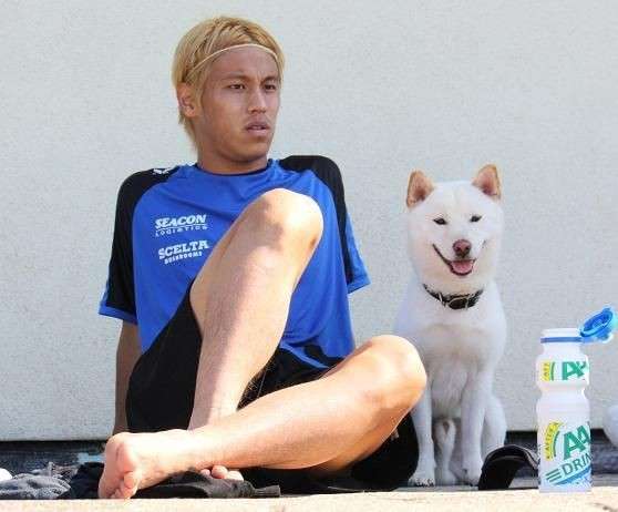 芸能人の飼ってるペット達集合!!