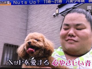 芸能人の飼ってるペット達集合!!