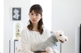 芸能人の飼ってるペット達集合!!