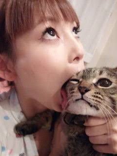芸能人の飼ってるペット達集合!!