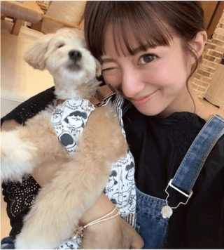 芸能人の飼ってるペット達集合!!