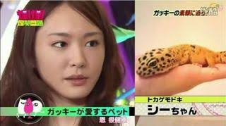 芸能人の飼ってるペット達集合!!