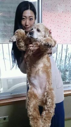 芸能人の飼ってるペット達集合!!