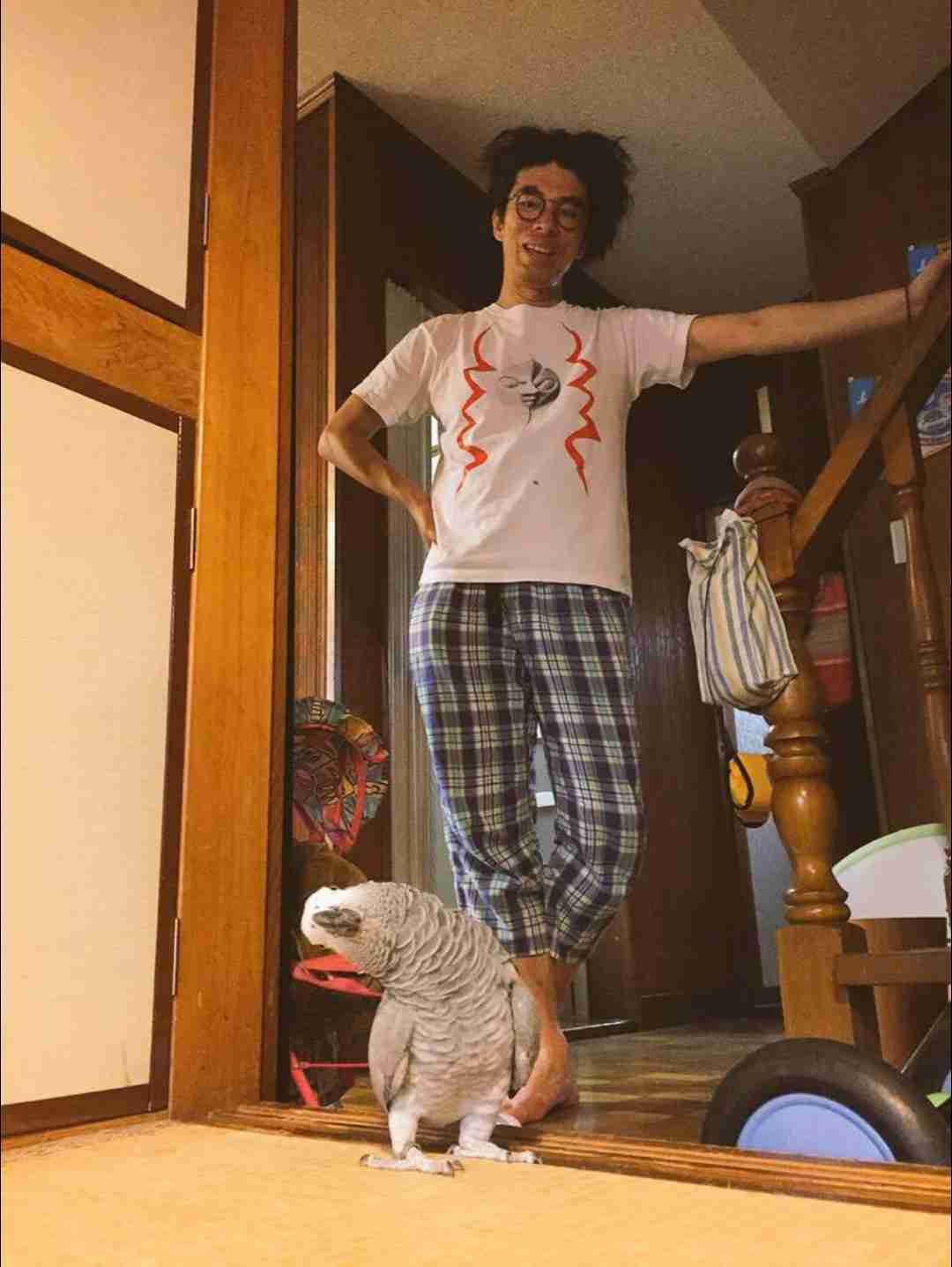 芸能人の飼ってるペット達集合!!