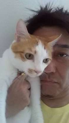 芸能人の飼ってるペット達集合!!