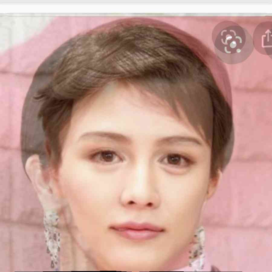 自分に似てる芸能人の最上位と最下位を合成するトピ