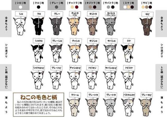 ガルちゃんでこの画像持ってるのはわたしだけ！選手権part2