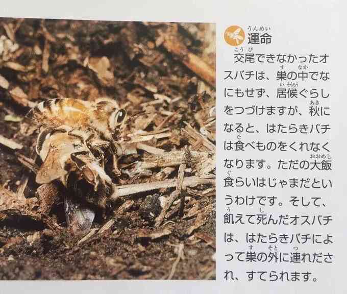 ガルちゃんでこの画像持ってるのはわたしだけ！選手権part2
