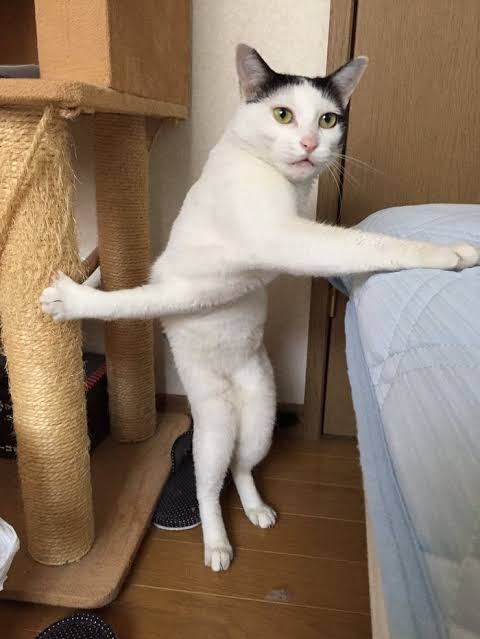ガルちゃんでこの画像持ってるのはわたしだけ！選手権part2